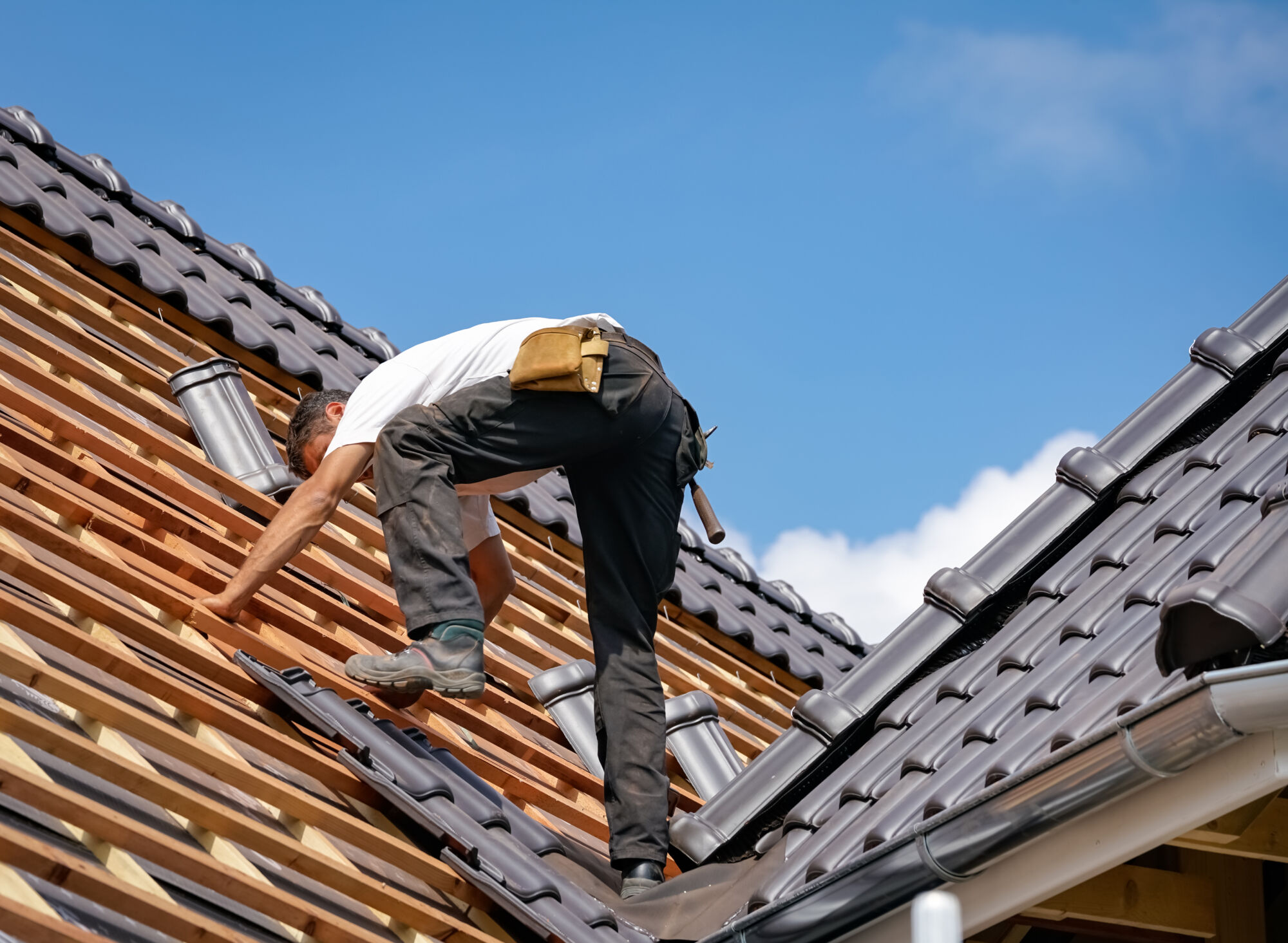 Echelle de toit pour couvreur en bois ou alu-bois en Alsace